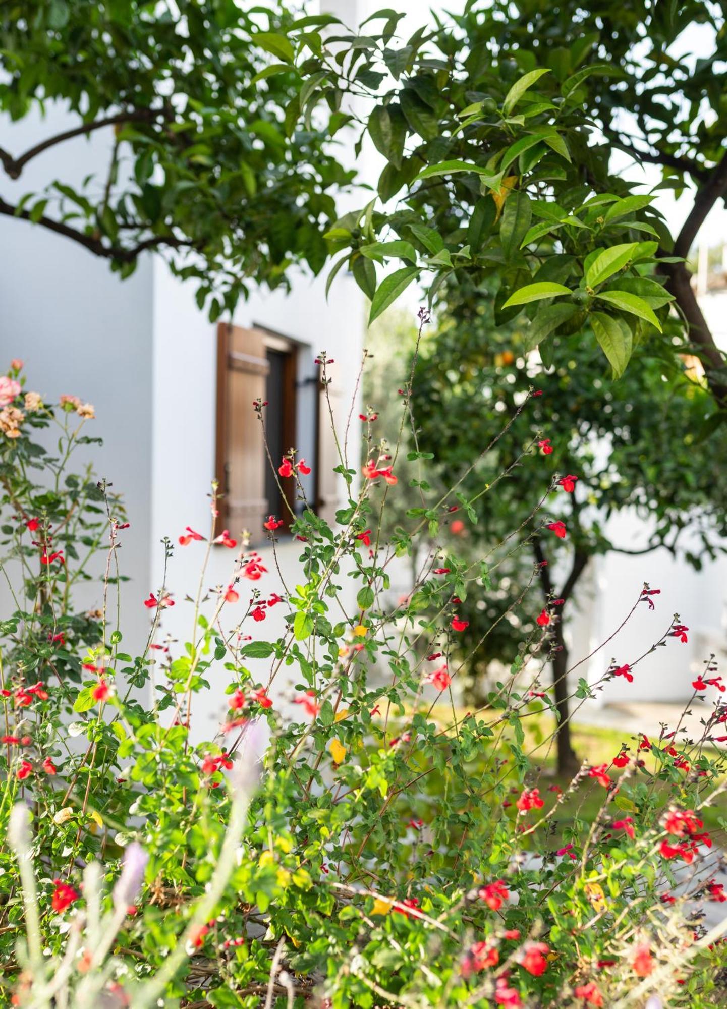 Aeolos Hotel & Villas - Pelion Chorefton Exterior photo